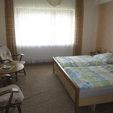 Guest house Pension-gaestehaus Waldhof Winterberg