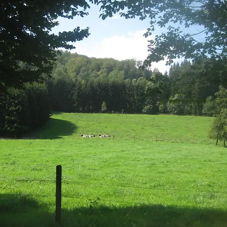 Guest house Pension-gaestehaus Waldhof Winterberg