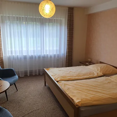 Πανσιόν Pension-gaestehaus Waldhof Βίντερμπεργκ