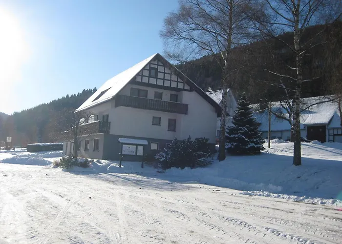 Gæstehus Pension-gaestehaus Waldhof 3*