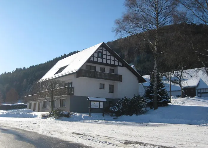 Pension-gaestehaus Waldhof Winterberg
