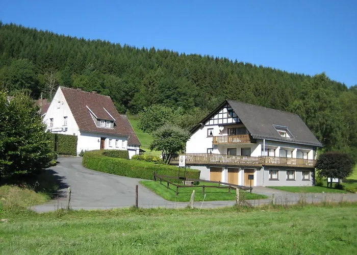 Gæstehus Pension-gaestehaus Waldhof Winterberg